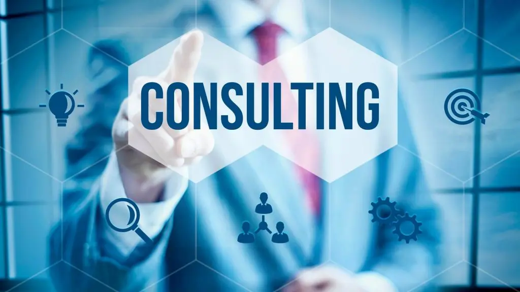 Pedrovazpaulo's Impact on Business Growth Pedrovazpaulo's Impact on Business Growth